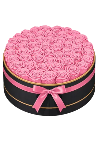 Pink roses Rose box Round gift box Stickdatei