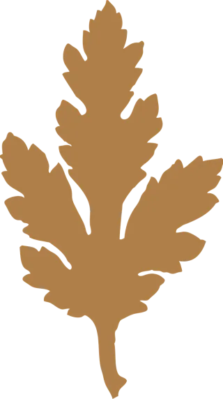 Leaf Tree Green waste Stickdatei – Natur