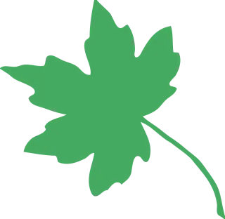 Leaf Tree Green waste Stickdatei