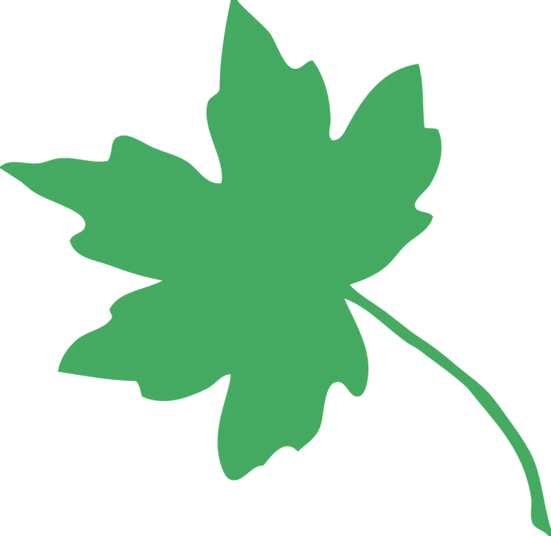 Leaf Tree Green waste Stickdatei – Natur