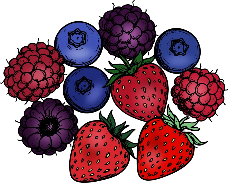 Berry Fruit Nature Stickdatei – Essen & Trinken