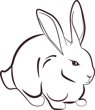 Rabbit Animal Grass Stickdatei
