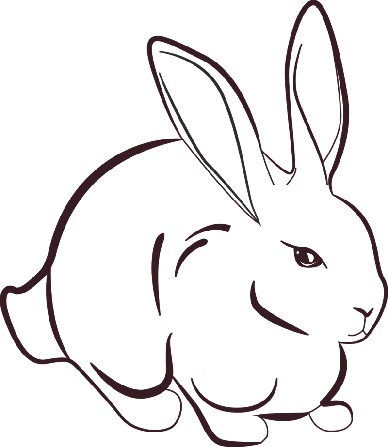 Rabbit Animal Grass Stickdatei – Tiere