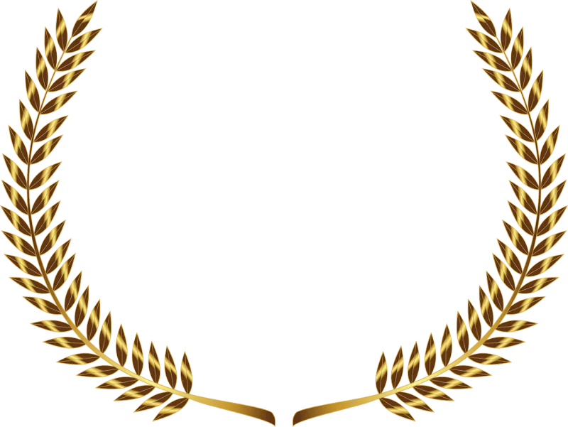 Branch Olive branch Gold Stickdatei – Weihnachten