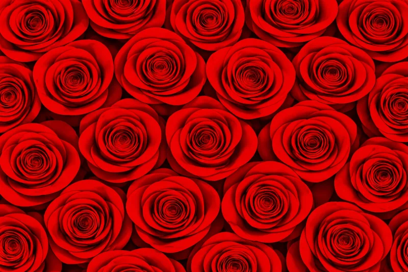Red roses Rose pattern Seamless pattern Stickdatei – Herzen & Liebe