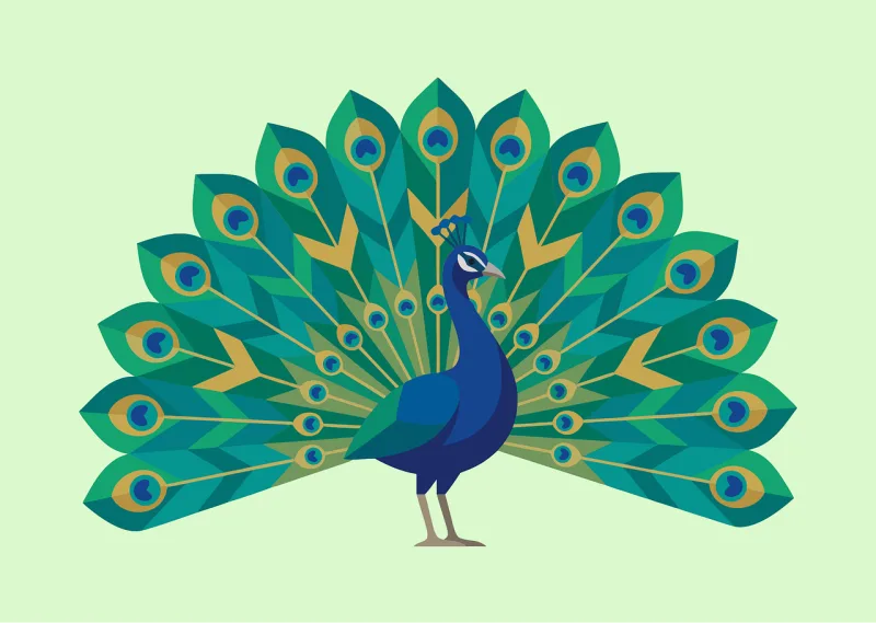 Peacock Bird Feathers Stickdatei – Natur