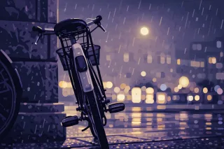 Rain Rainy night Bicycle Stickdatei – Sport