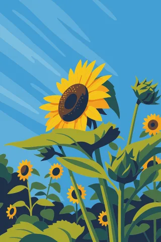 Sunflower Floral Summer Stickdatei