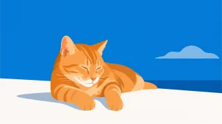 Cat Orange cat Pet Stickdatei