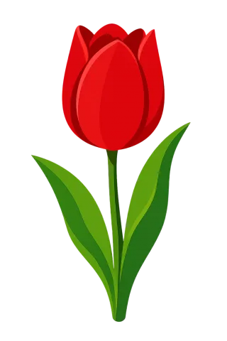 Red tulip Flower illustration Vector graphic Stickdatei