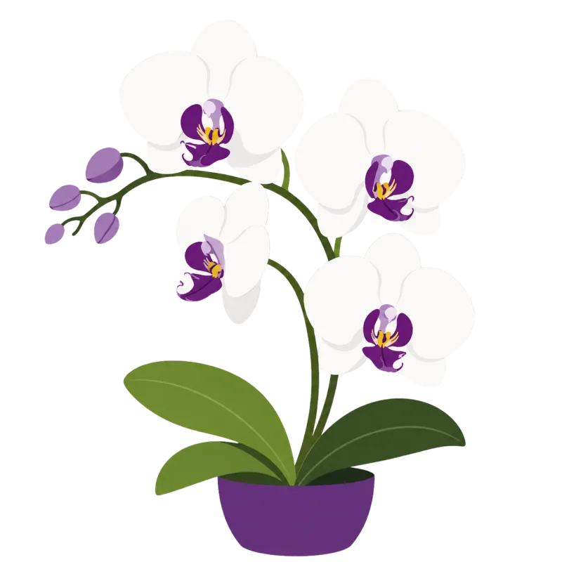 Orchid Purple White Stickdatei – Blumen