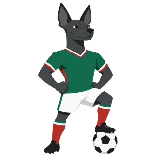 World cup Football Mexico Stickdatei