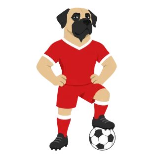 World cup Football Mascot Stickdatei