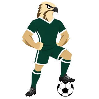 World cup Soccer Arabian falcon Stickdatei