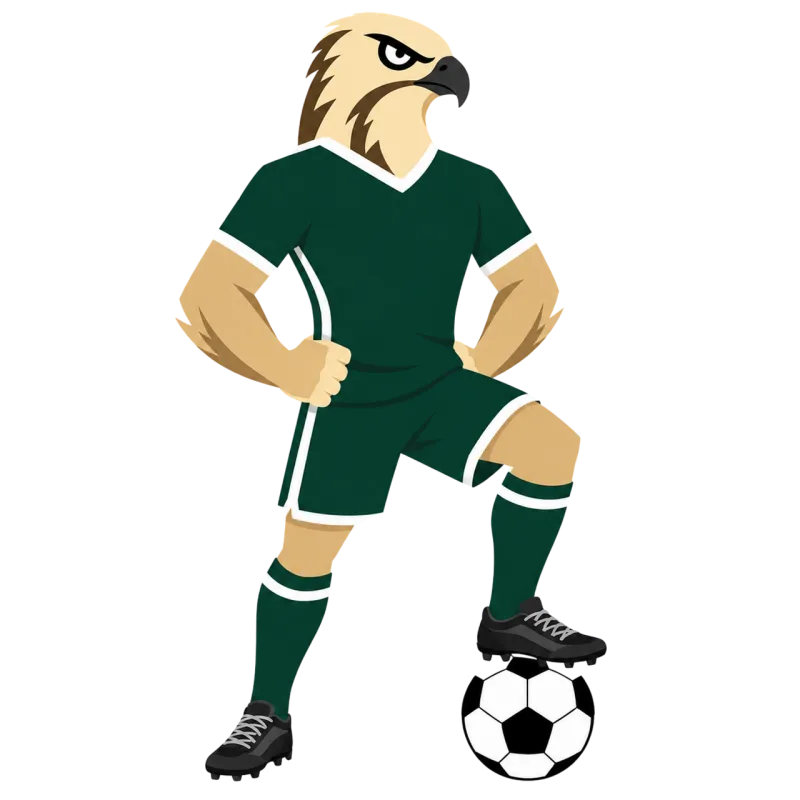 World cup Soccer Arabian falcon Stickdatei – Sport