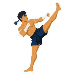 Martial arts Fighter High kick Stickdatei