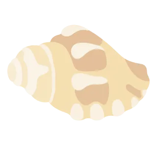 Shell Nature Seashell Stickdatei