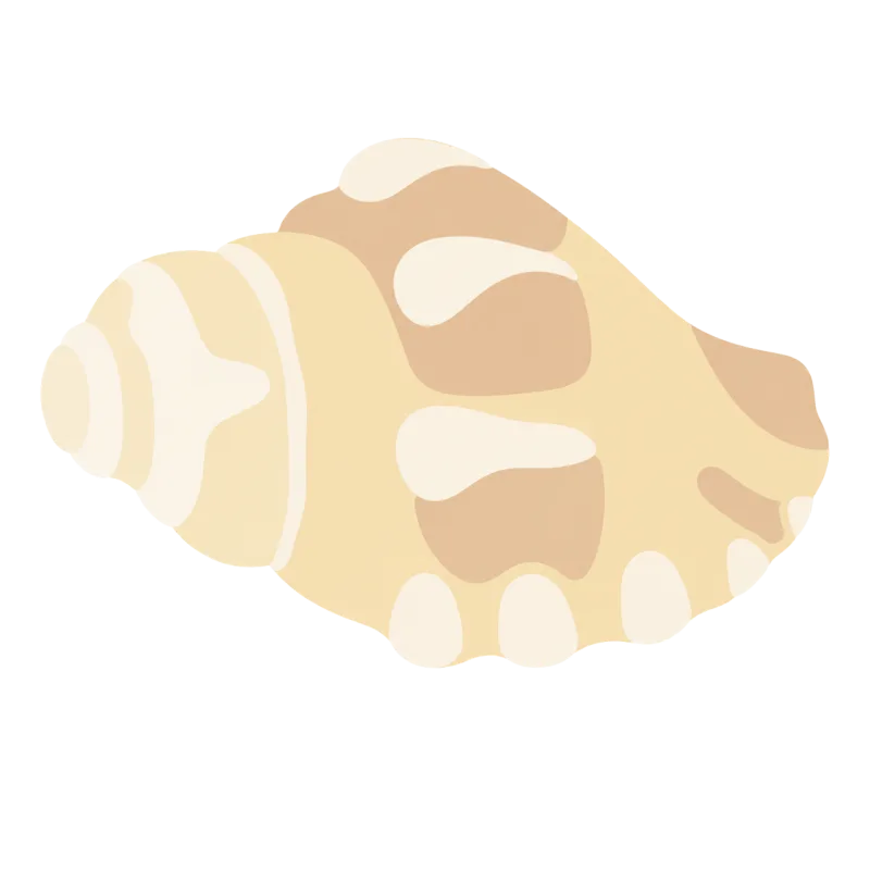 Shell Nature Seashell Stickdatei – Essen & Trinken