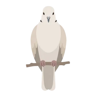 Dove Bird Peace Stickdatei