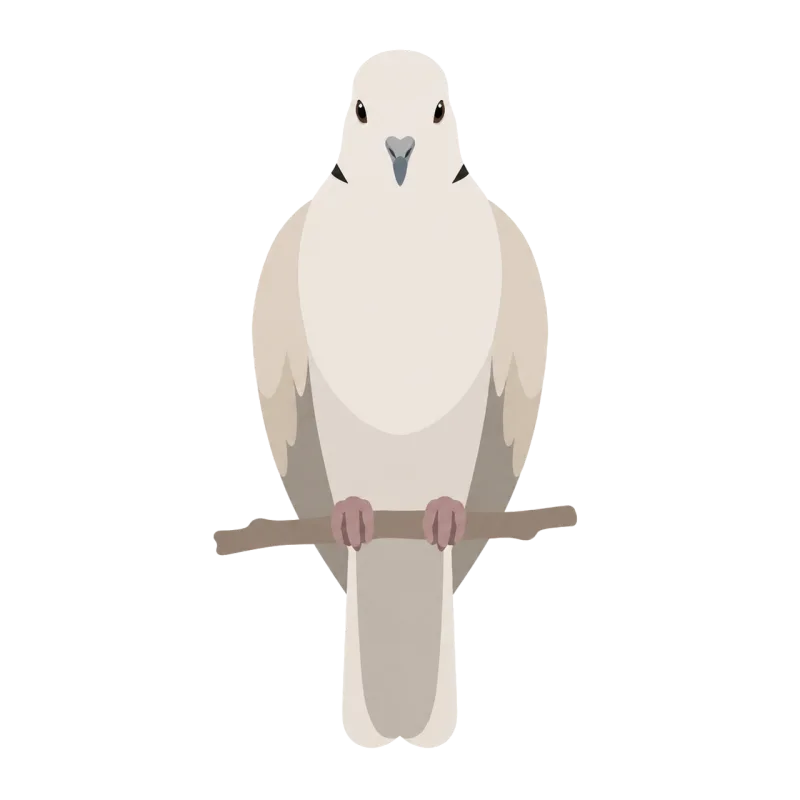 Dove Bird Peace Stickdatei – Natur