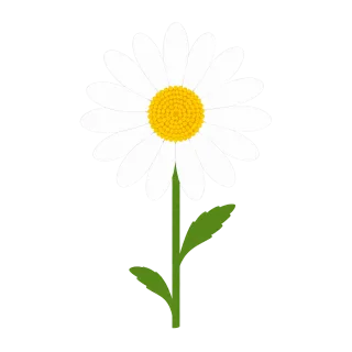 Daisy Flower White Stickdatei