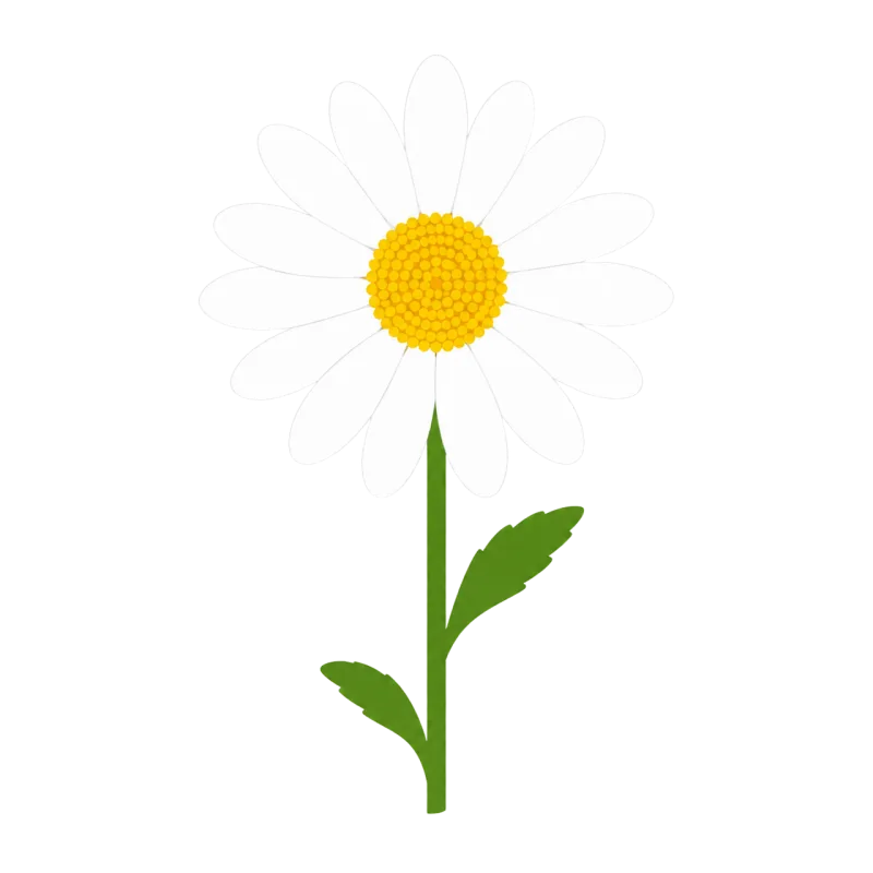 Daisy Flower White Stickdatei – Blumen