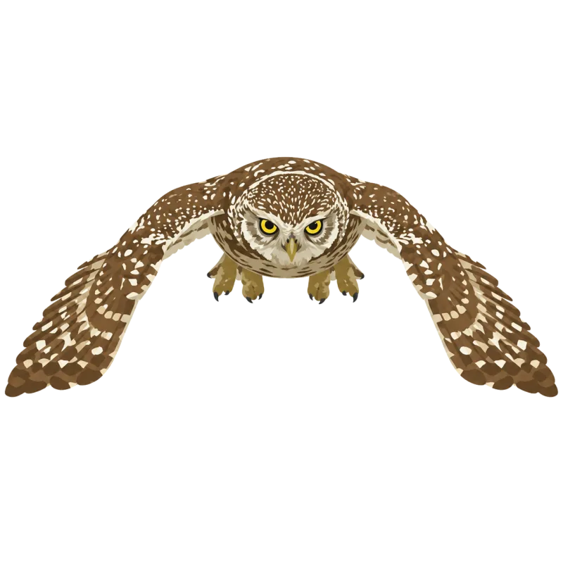 Owl Little owl Bird of prey Stickdatei – Tiere