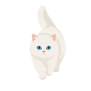 Cat Kitten White cat Stickdatei