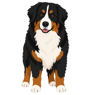 Bernese mountain dog Puppy Animal Stickdatei