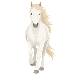 White horse Horse Nature Stickdatei