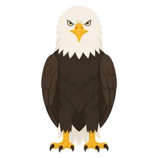 Eagle White headed eagle Nature Stickdatei