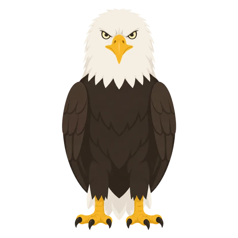 Eagle White headed eagle Nature Stickdatei – Tiere