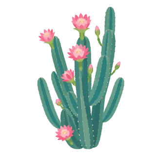 Cactus Flowering cactus Pink flower Stickdatei