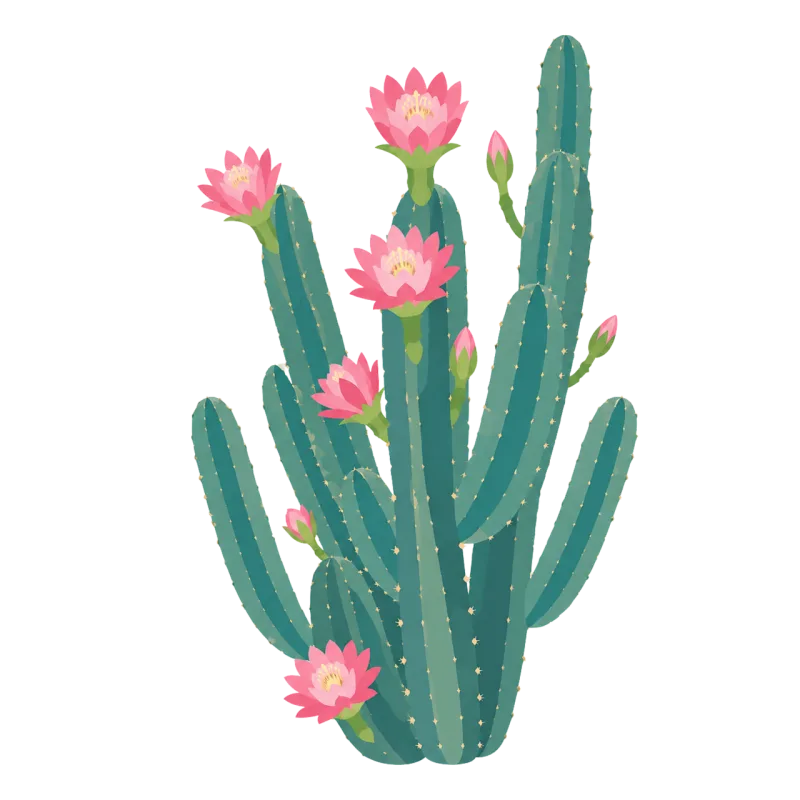 Cactus Flowering cactus Pink flower Stickdatei – Natur