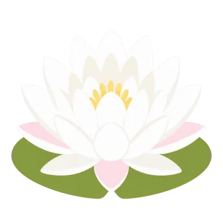Water lily White water lily Flower Stickdatei