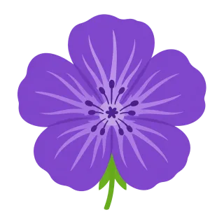Geranium Purple flower Flower Stickdatei