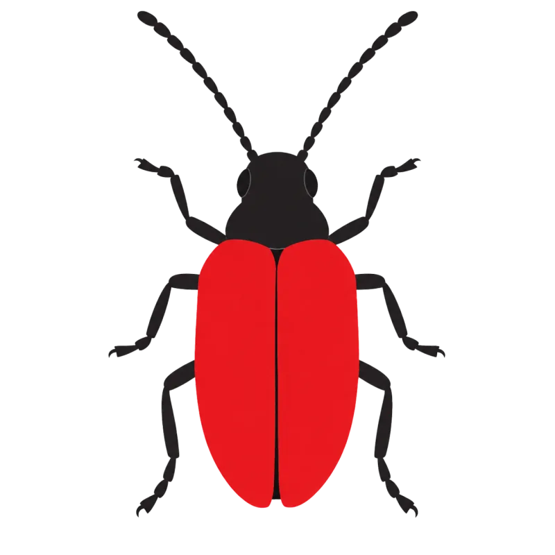 Beetle Red Black Stickdatei – Tiere