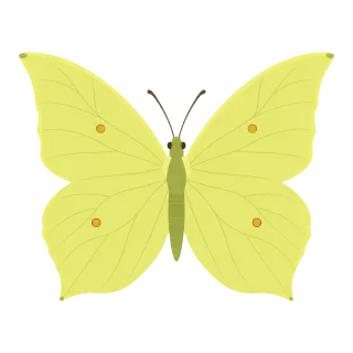 Butterfly Brimstone Yellow Stickdatei
