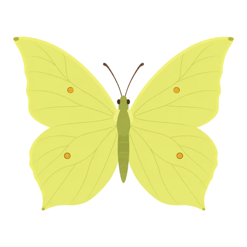 Butterfly Brimstone Yellow Stickdatei – Weihnachten