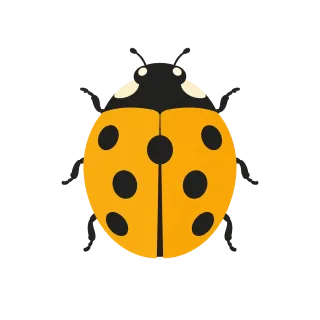 Ladybug Insect Yellow Stickdatei