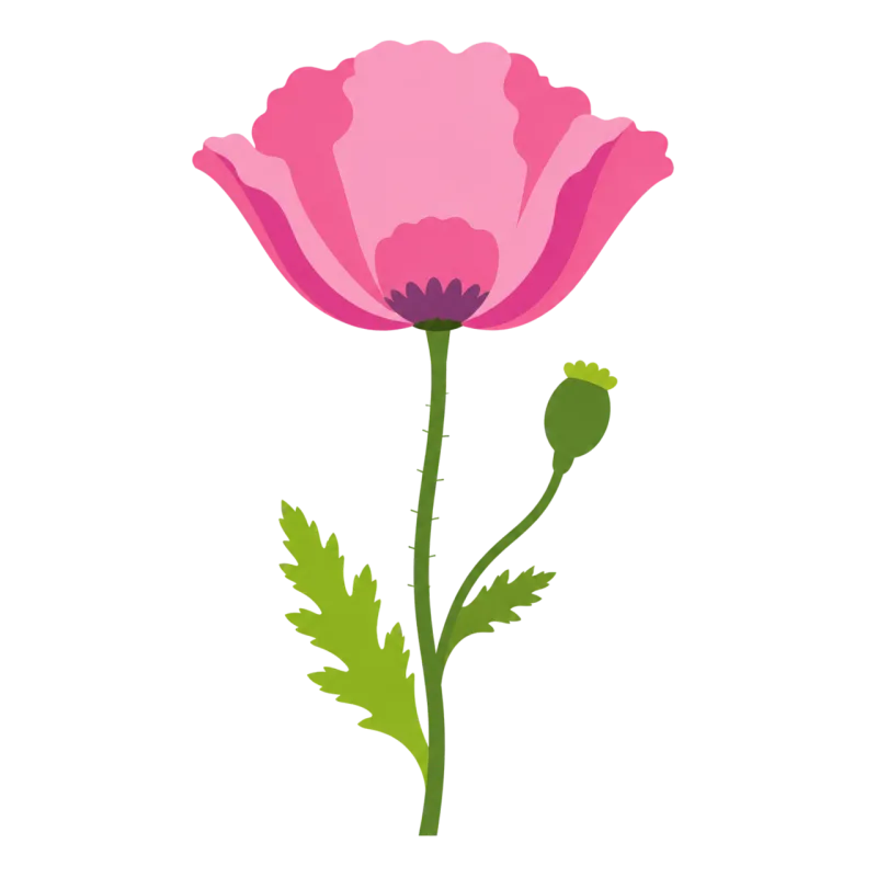 Poppy Pink flower Botanical Stickdatei – Blumen
