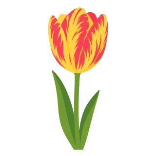 Tulip Spring flower Red yellow flower Stickdatei