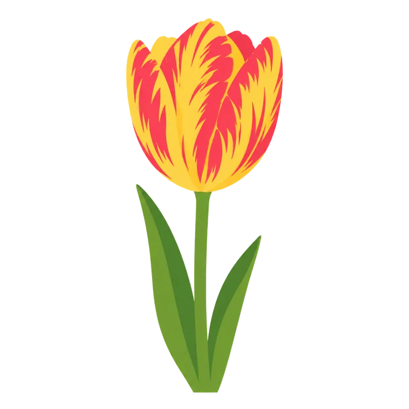 Tulip Spring flower Red yellow flower Stickdatei – Blumen