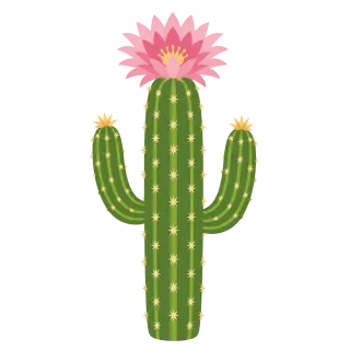 Cactus Flower Pink Stickdatei – Natur