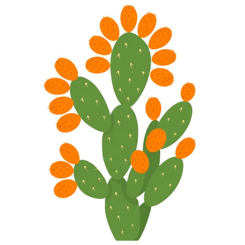 Prickly pear Cactus Fruit Stickdatei – Natur