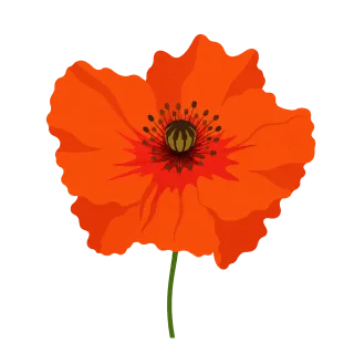 Poppy Orange Red Stickdatei