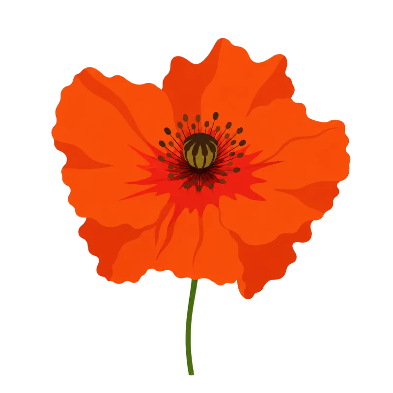 Poppy Orange Red Stickdatei – Blumen