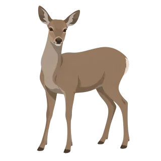 Deer Woodland animal Wild Stickdatei