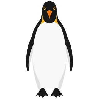 Emperor penguin Antarctic bird Polar animal Stickdatei