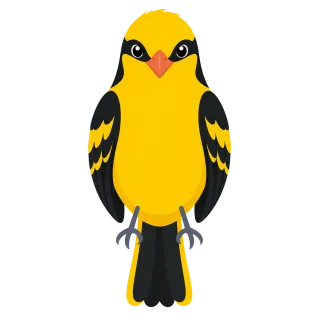 Golden oriole Yellow bird Songbird Stickdatei